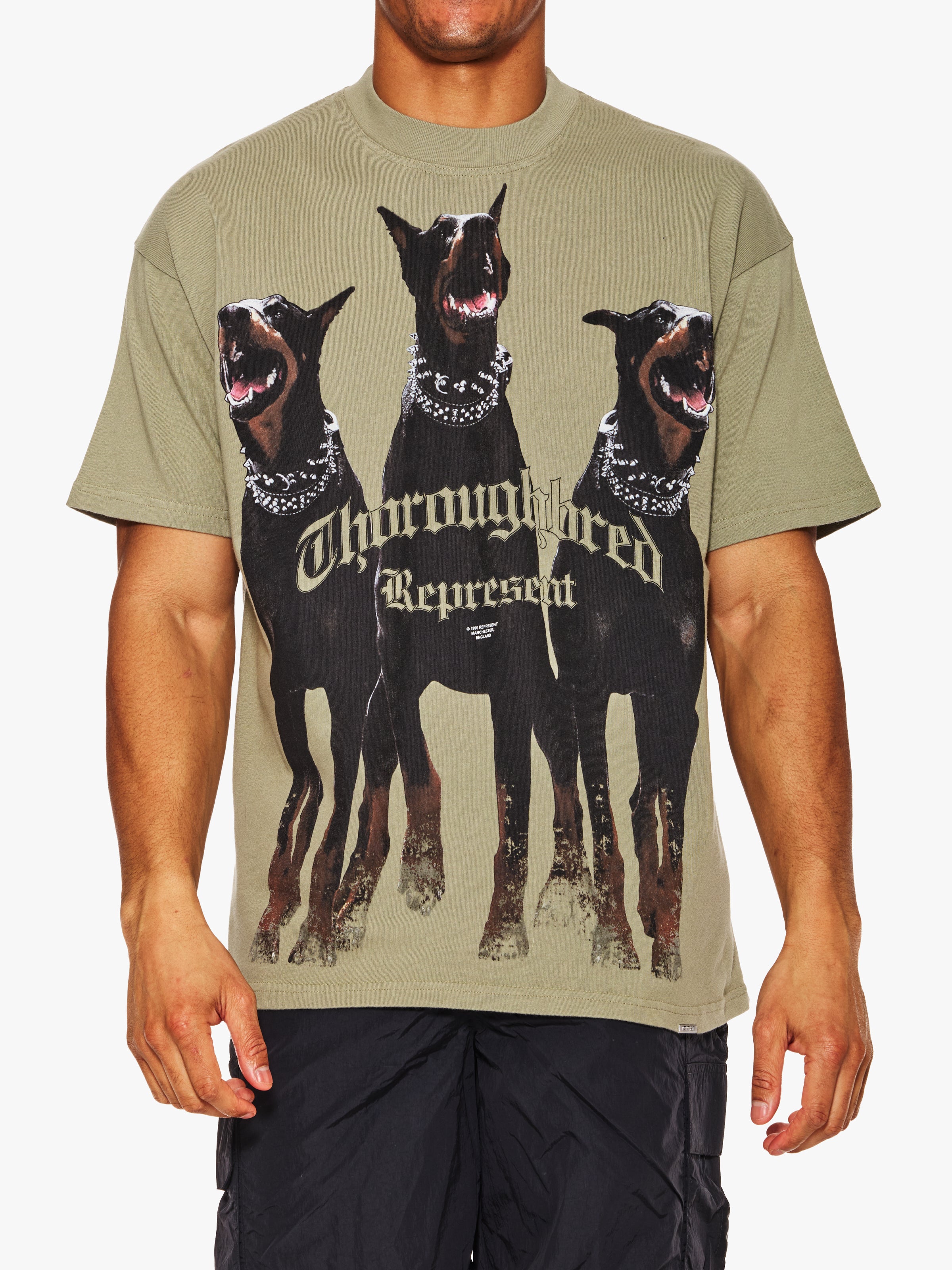 Represent Thoroughbred T-Shirt – The Shop at Equinox