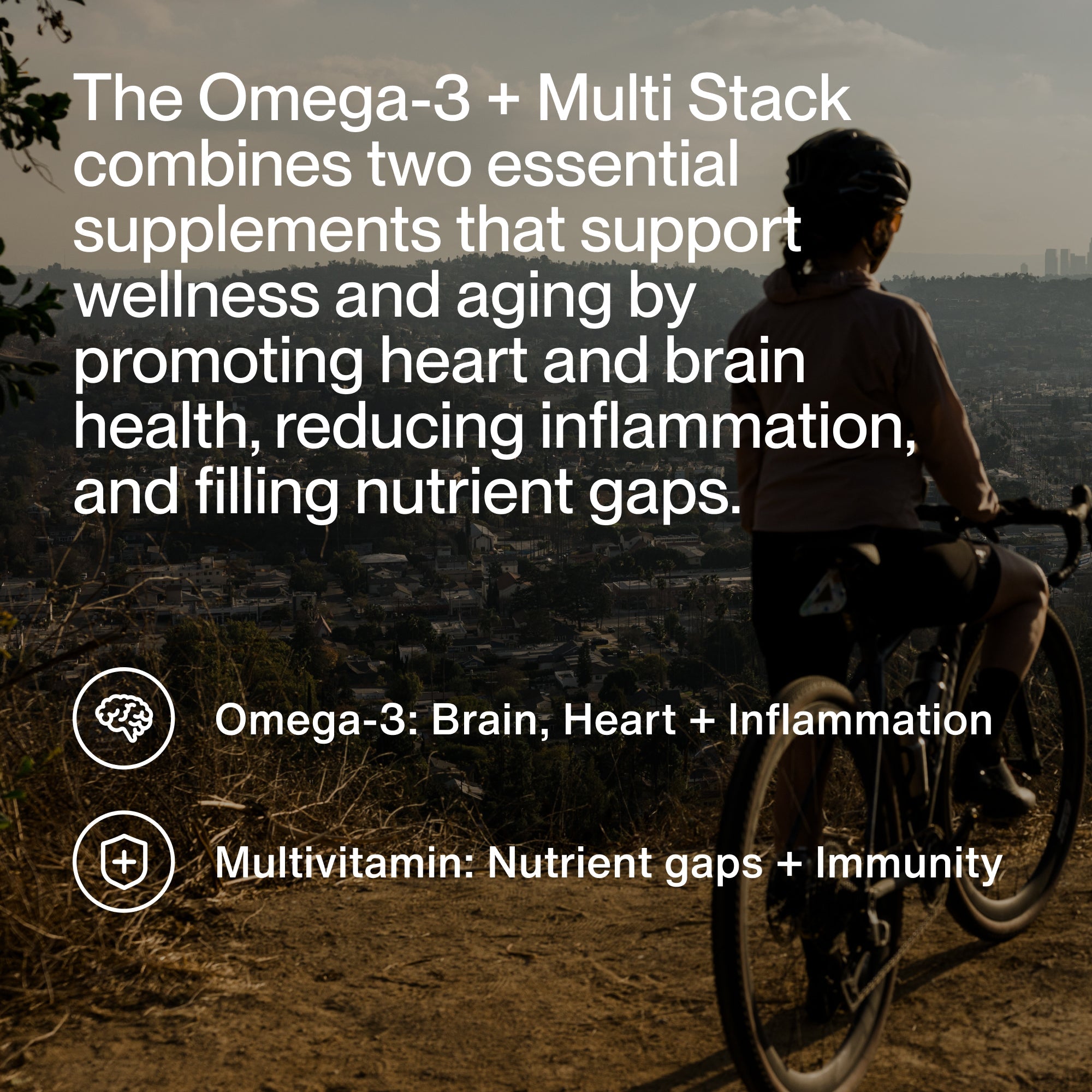 Omega-3 & Multi Stack