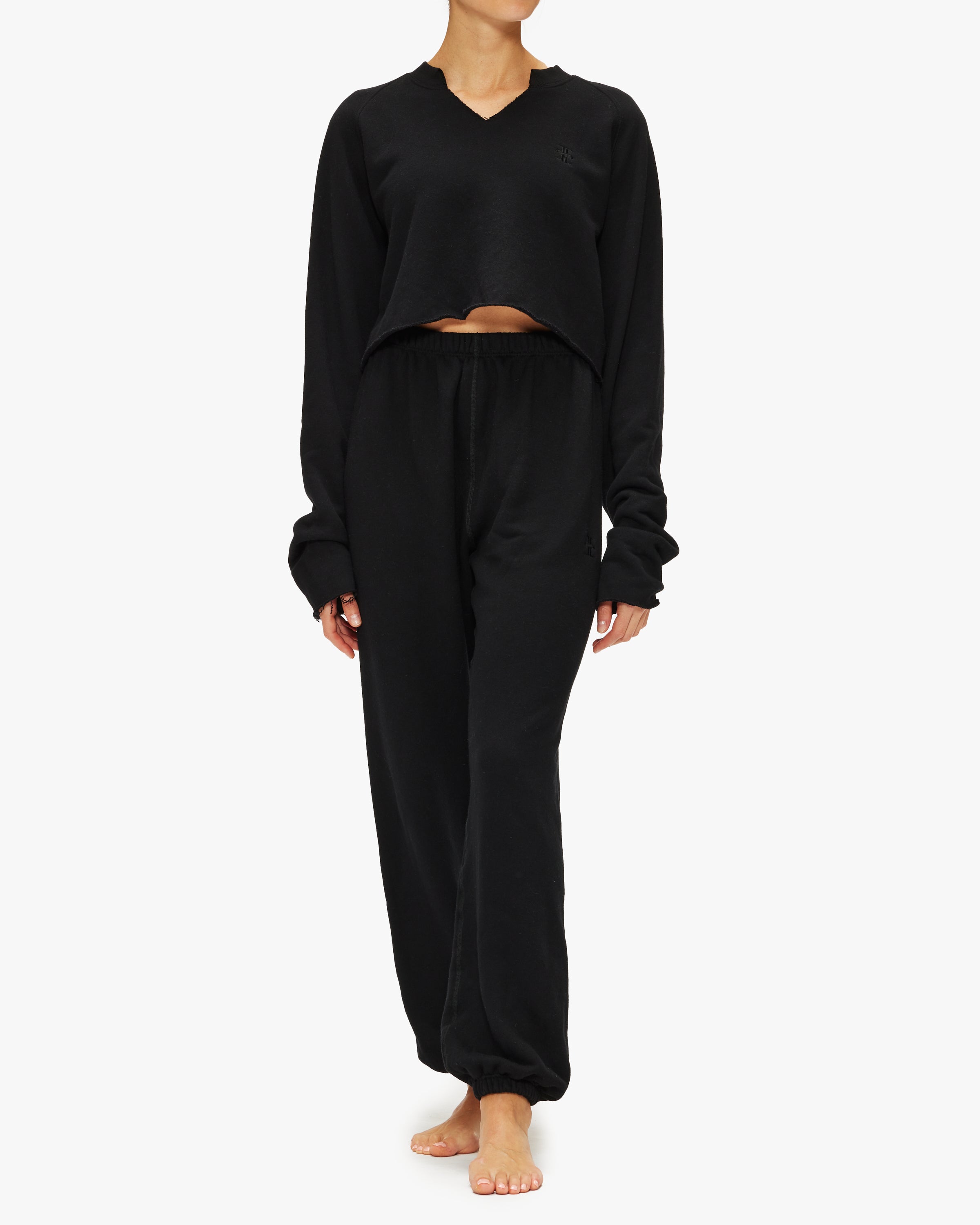 Eterne Long Sleeve Raglan Sweatshirt – The Shop at Equinox
