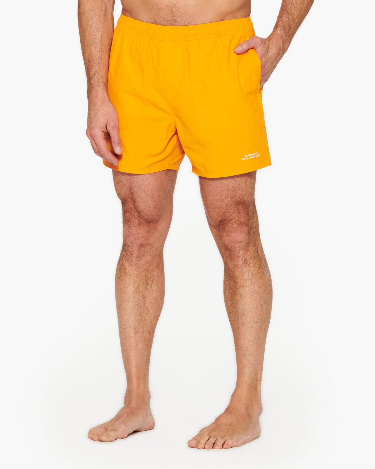 Saturdays Talley Swim Short 5