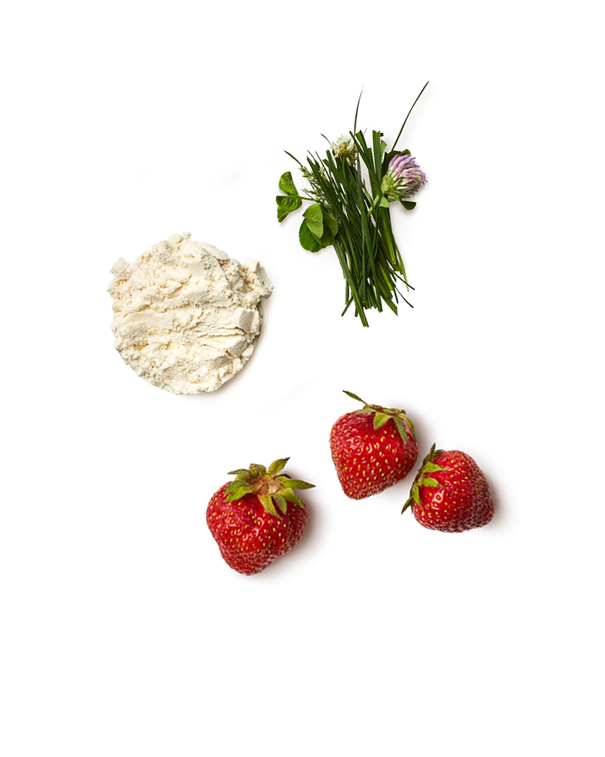 Promix Nutrition Strawberry Milk Whey Protein Isolate Powder