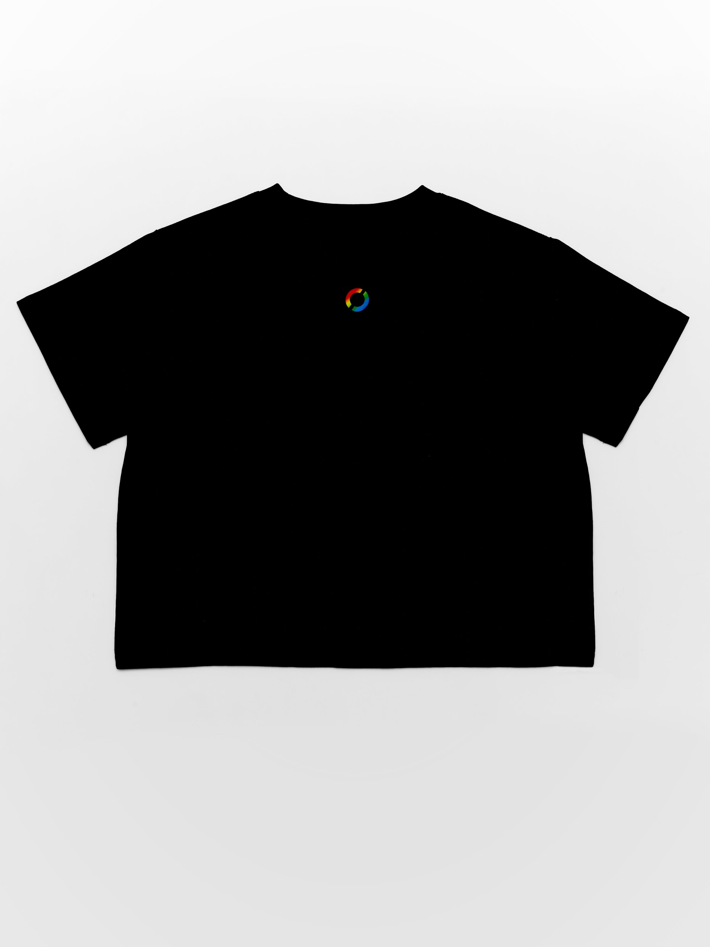Equinox Pride Unisex Crop Top – The Shop at Equinox