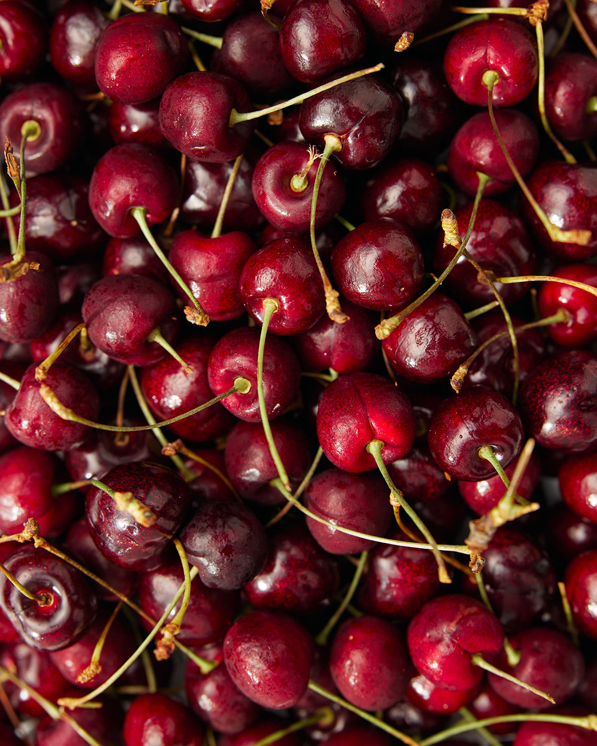 Promix Nutrition Collagen Beauty Elixir