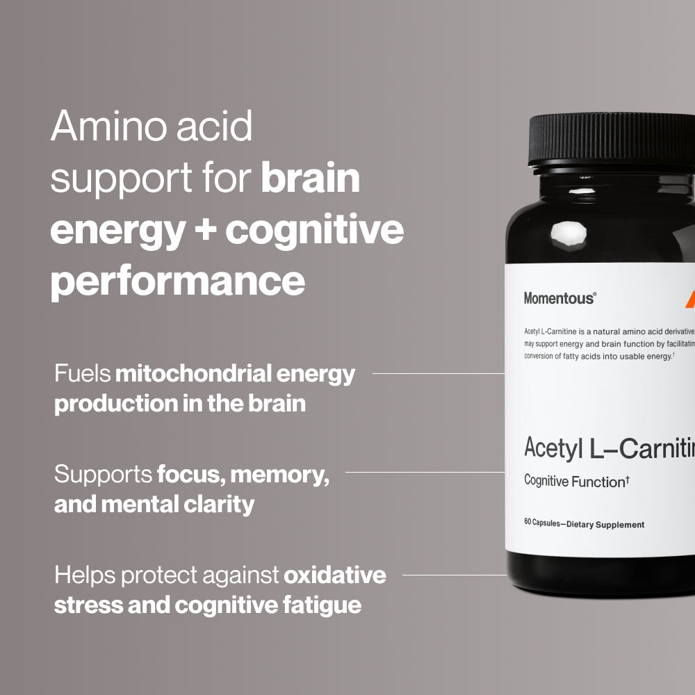 acetyl l carnitine benefits for females Zetelixia 2 Pack L-Carnitine Gummies, L-Carnitine Supplement Women & Men, Nutrition Supplement for Boost Energy, Immunity & Brain Health, Vegan, Non-GMO, Mango Flavor, 120 Count : Health & Household Acetyl L-Carnitine