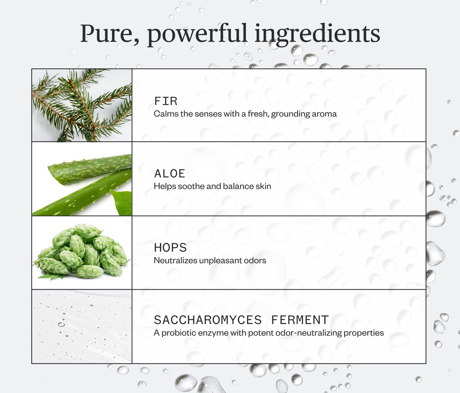 Forest Fix Spray Deodorant