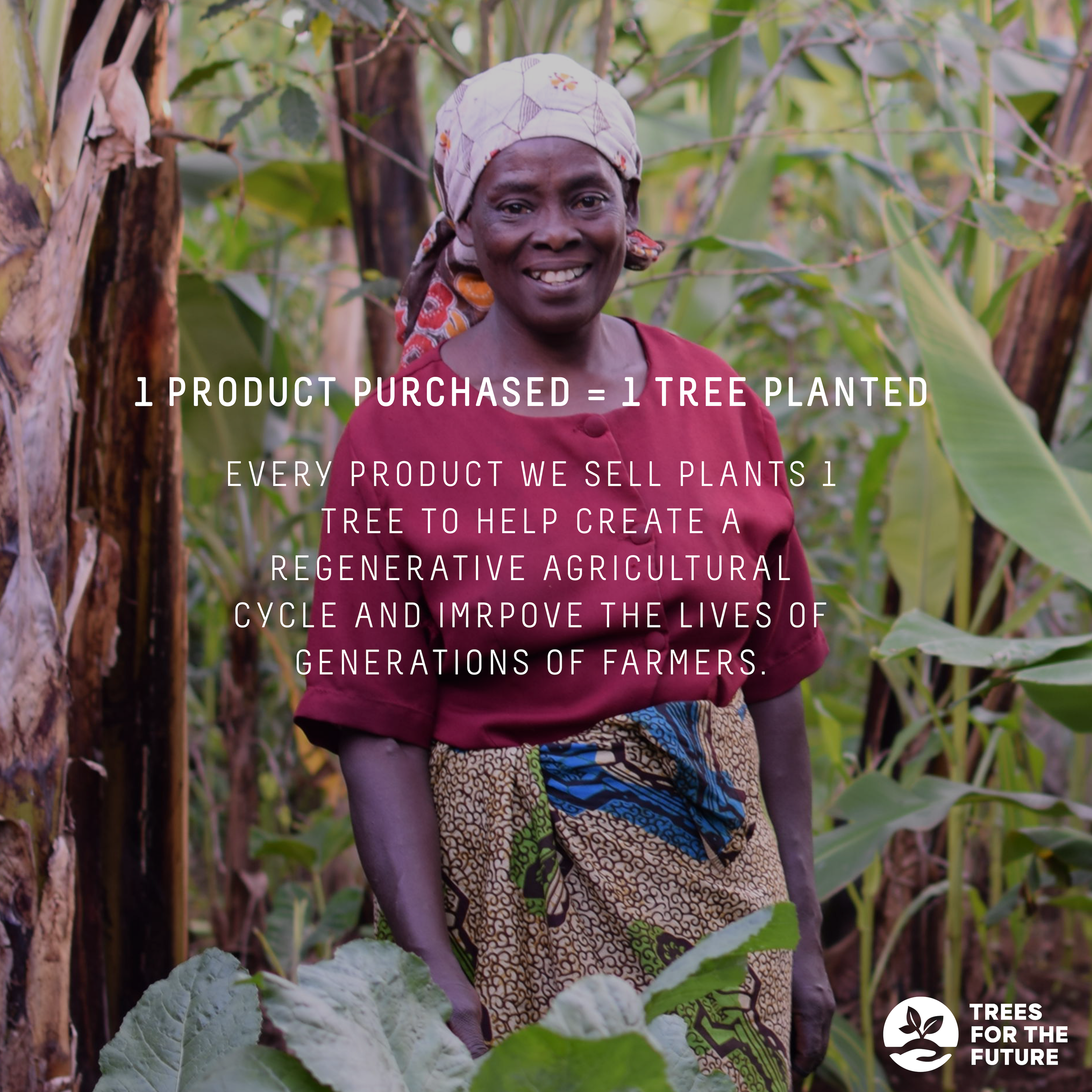 Beautology Lab Lymphatic Dry Brush