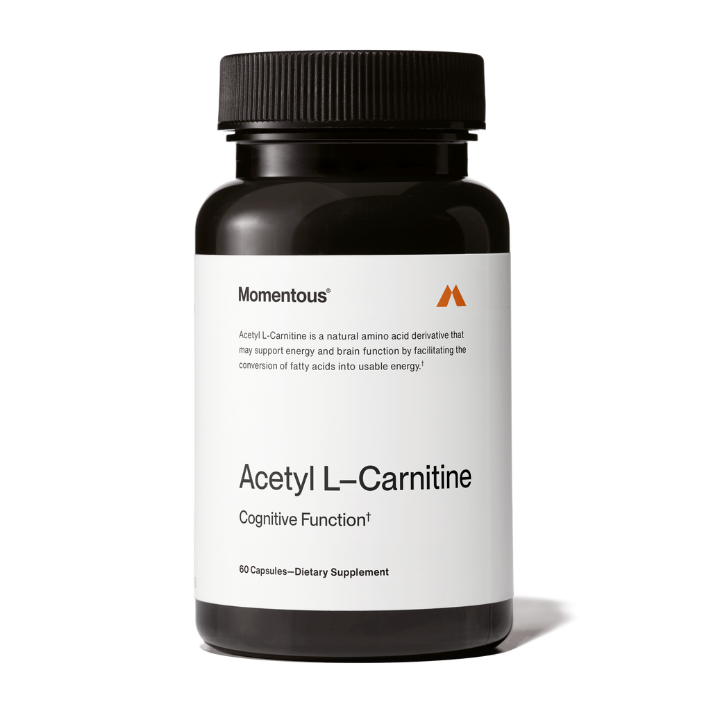 acetyl l carnitine cvs Acetyl L-Carnitine – The Shop at Equinox