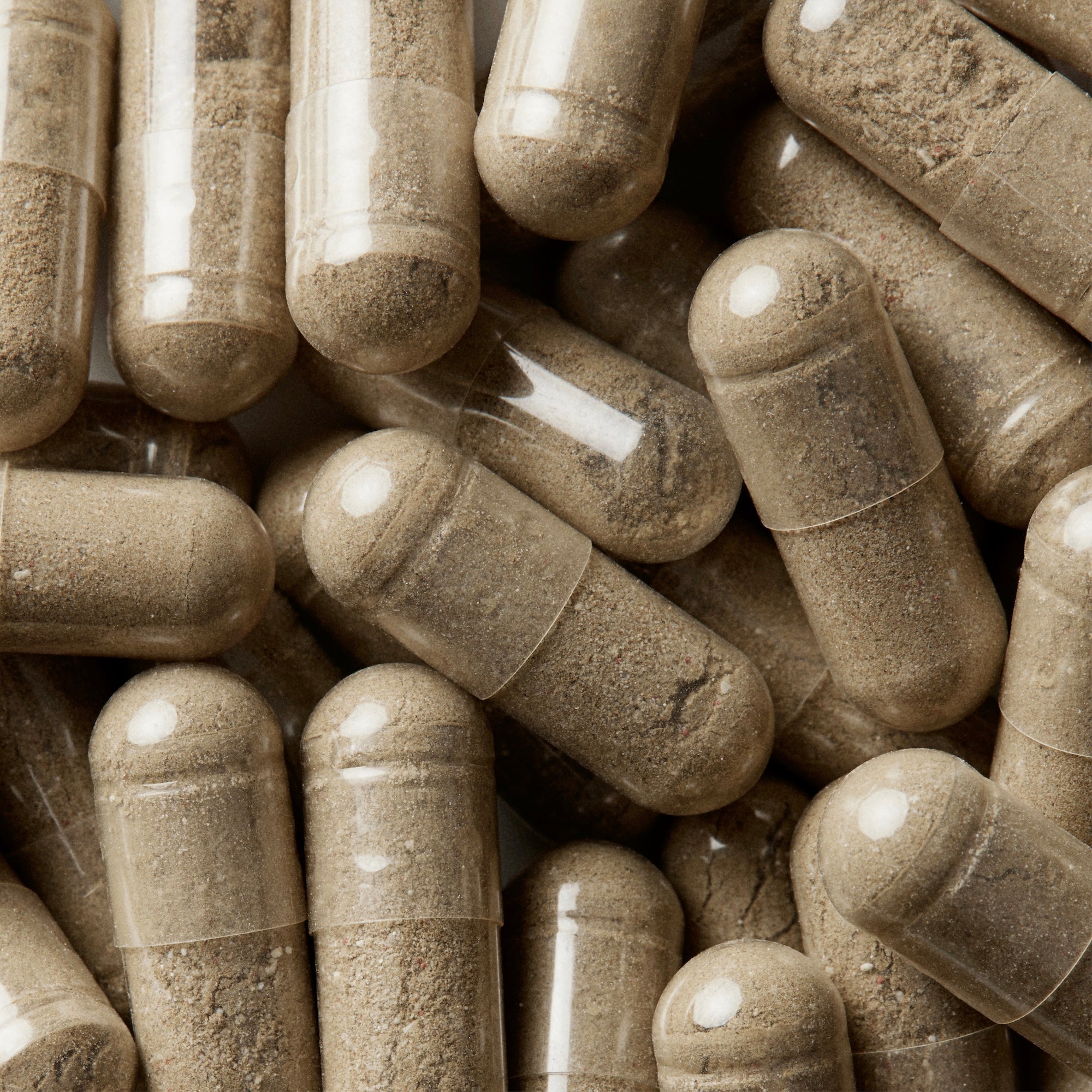 Wellbel Women Bundle