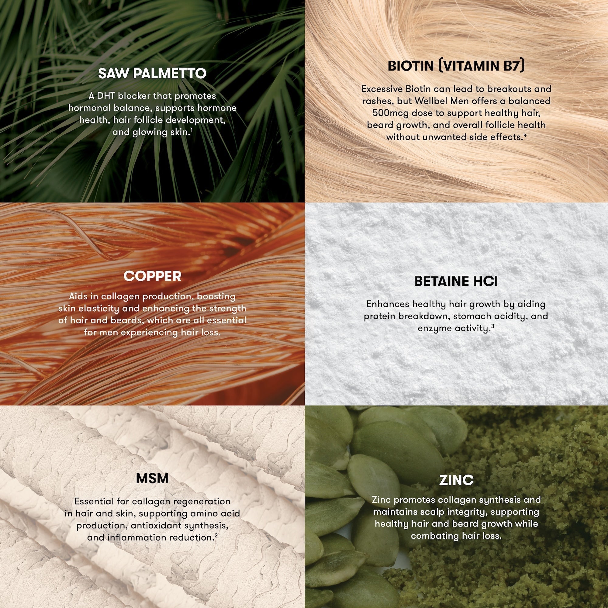 Wellbel Men Single Jar