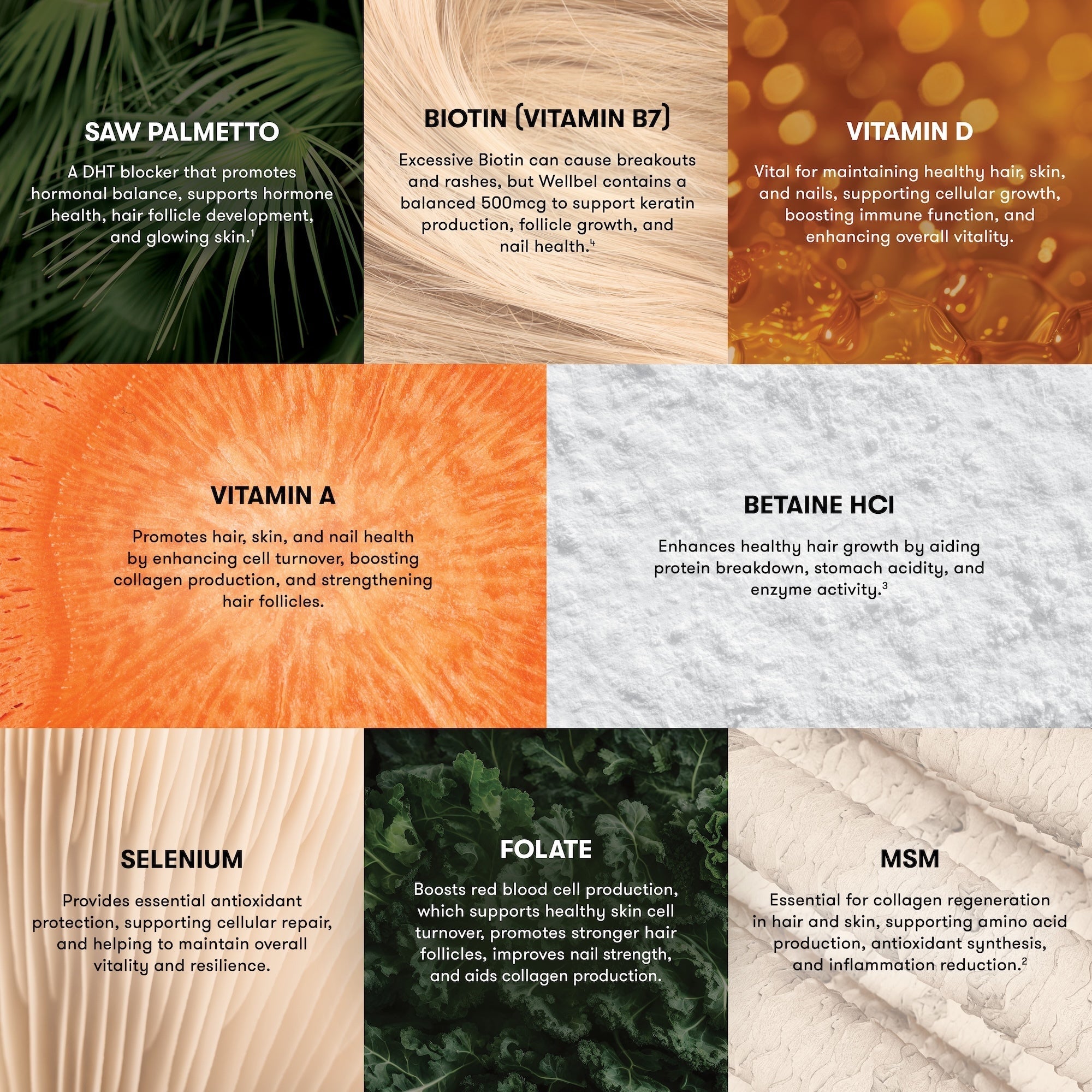 Wellbel Women Single Jar