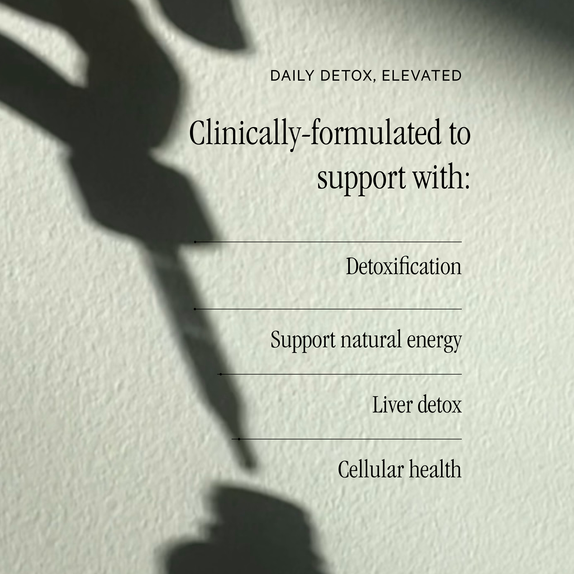 Detox Chlorophyll Drops